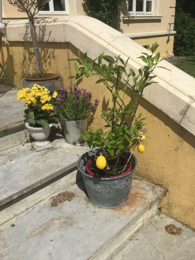 Exklusive Ferienwohnungen Im Gutshaus Viezen Bernitt ภายนอก รูปภาพ